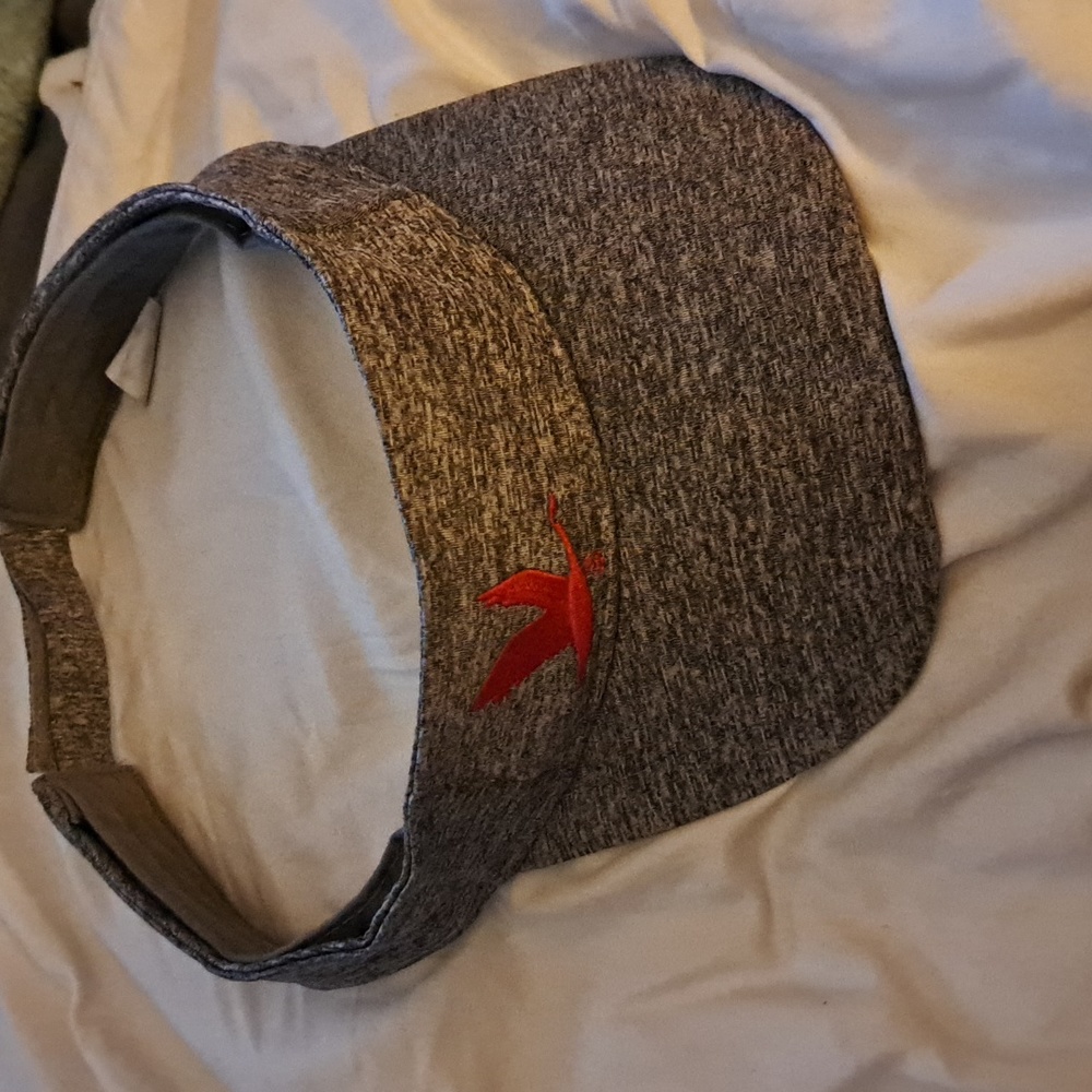 WAWA visor